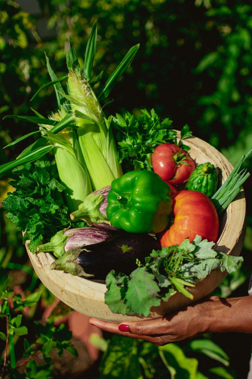 Agricultural Products - Farm-fresh and organic produce